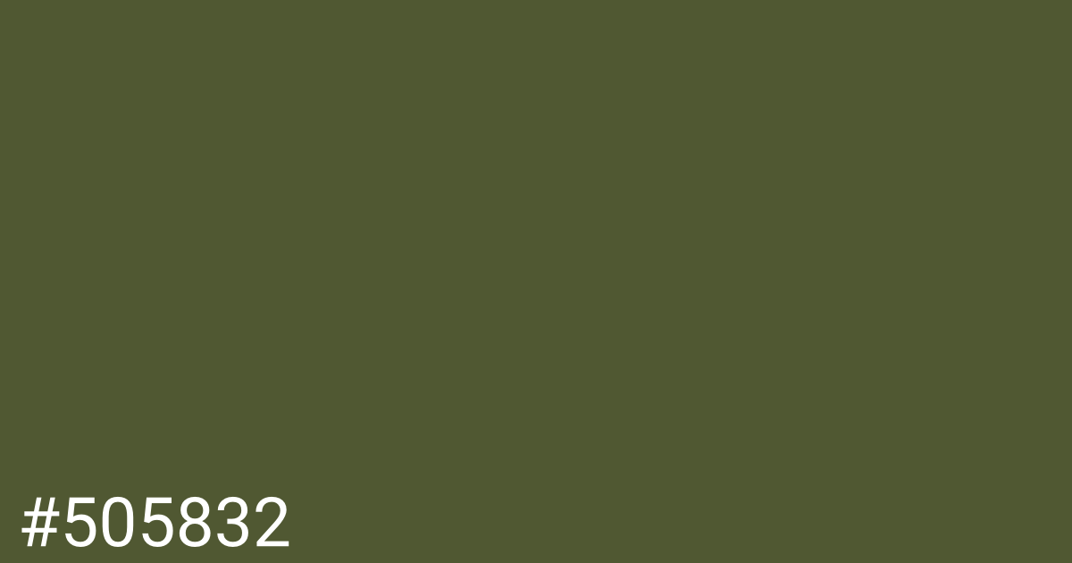 Hex color #505832 graphic