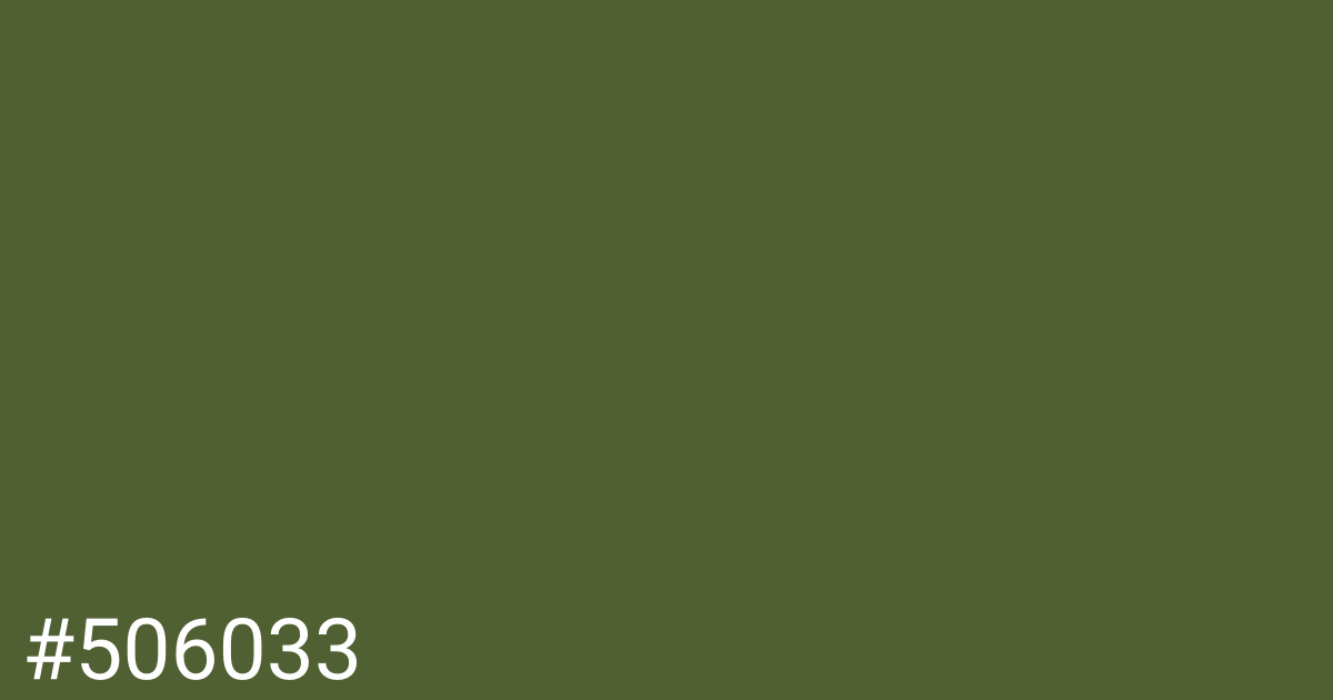 Hex color #506033 graphic