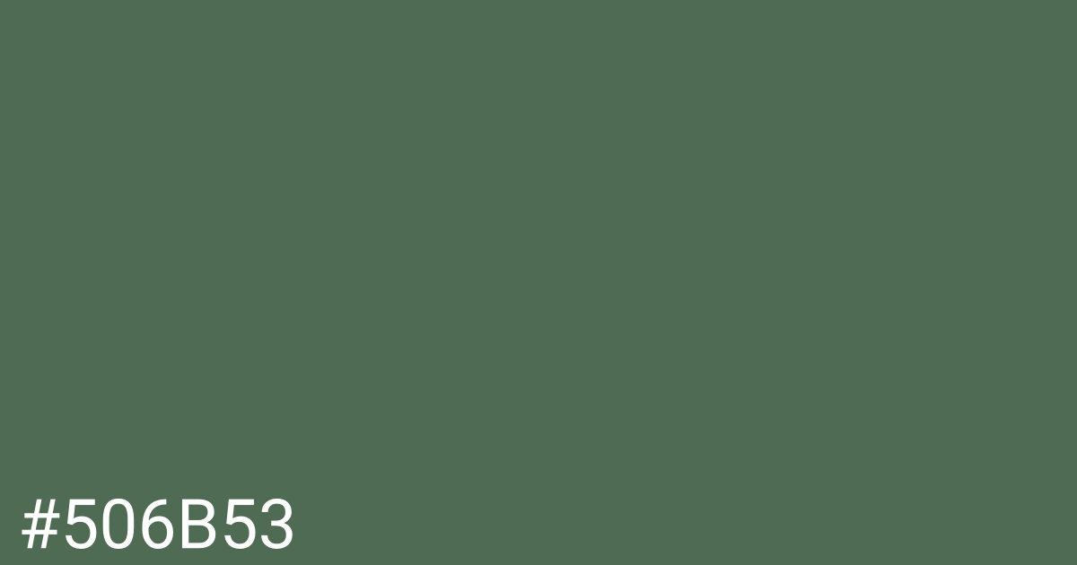 Hex color #506b53 graphic