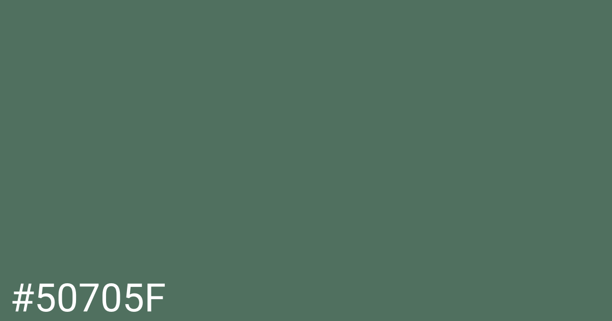 Hex color #50705f graphic