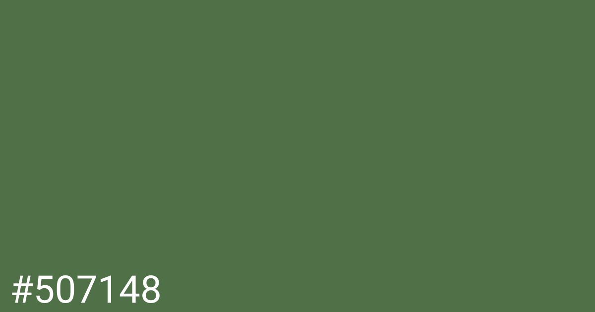 Hex color #507148 graphic