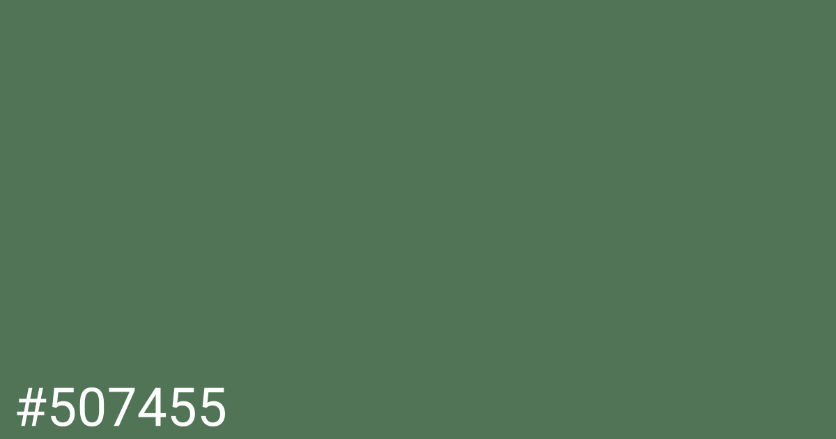 Hex color #507455 graphic