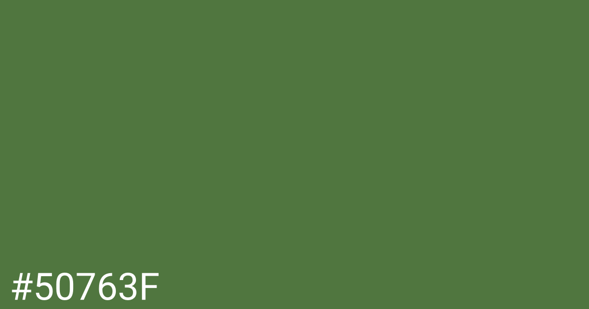 Hex color #50763f graphic