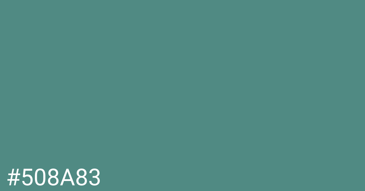 Hex color #508a83 graphic