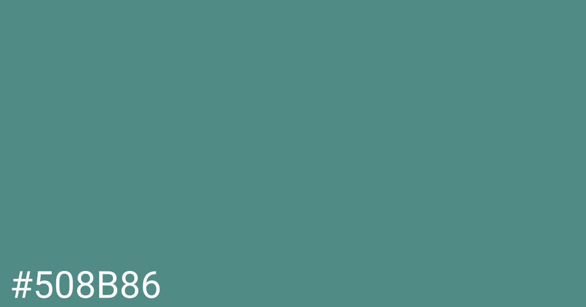 Hex color #508b86 graphic