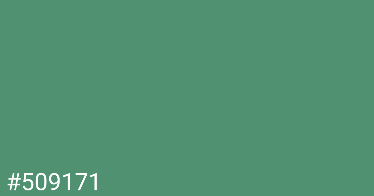 Hex color #509171 graphic