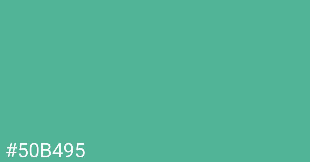 Hex color #50b495 graphic