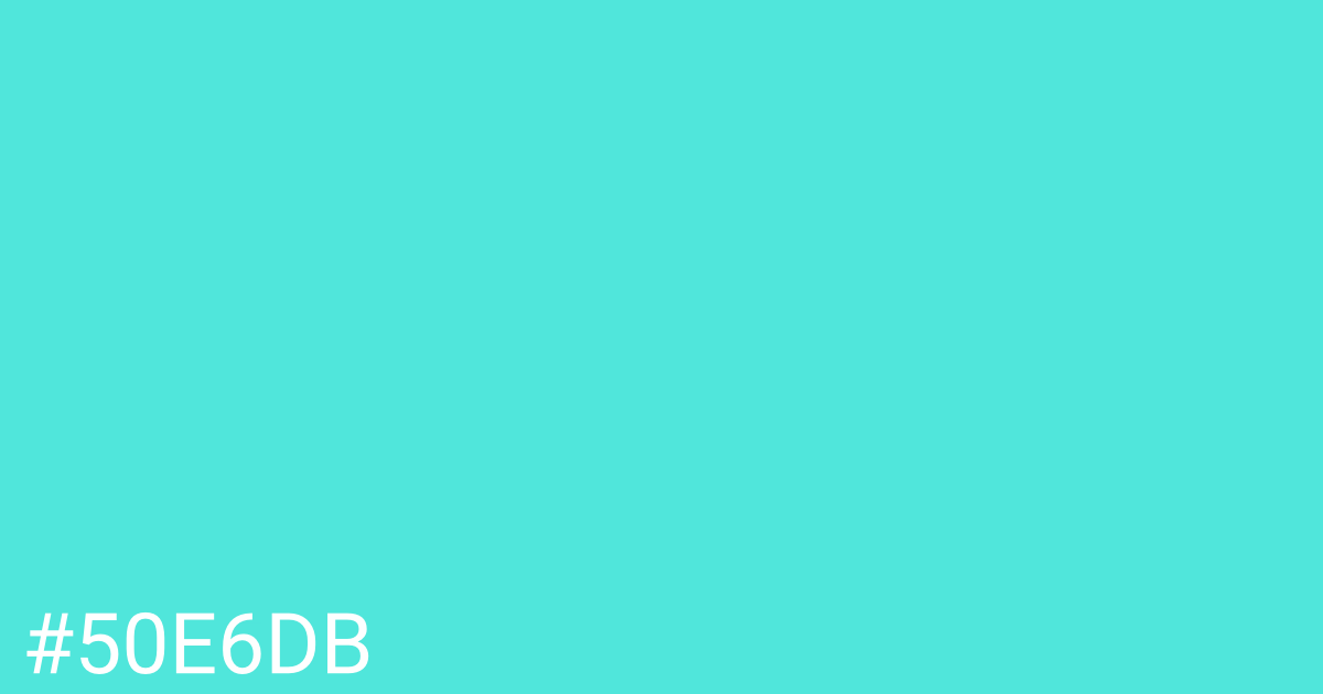 Hex color #50e6db graphic