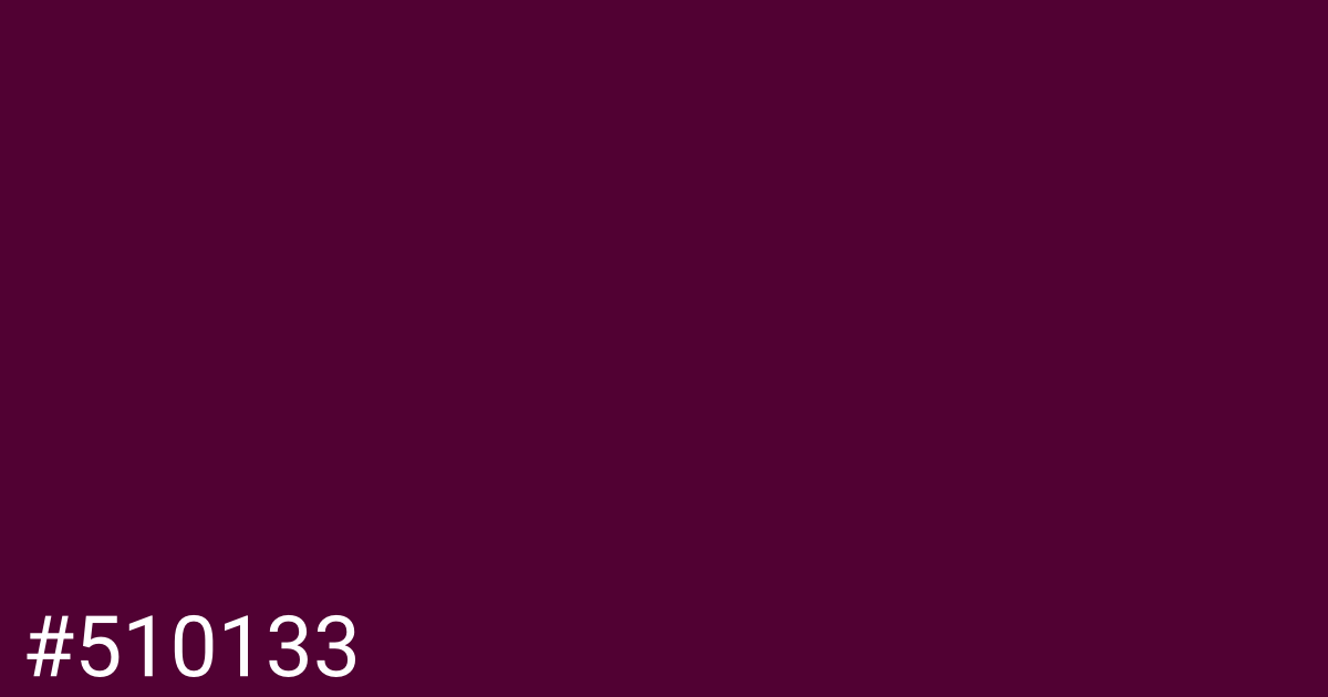 Hex color #510133 graphic