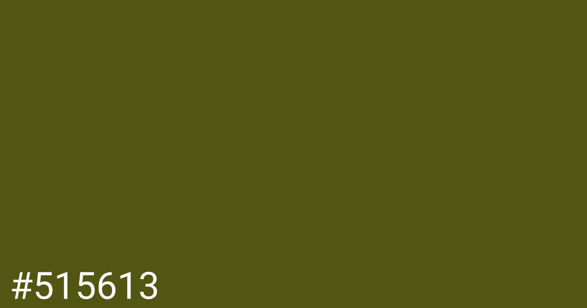 Hex color #515613 graphic