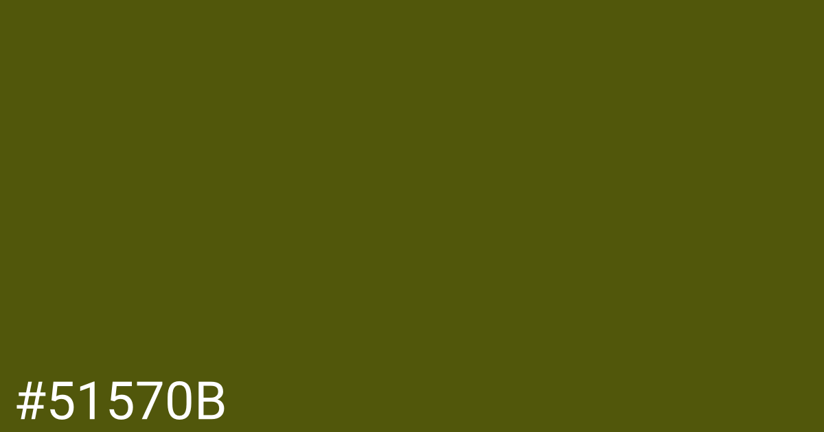 Hex color #51570b graphic