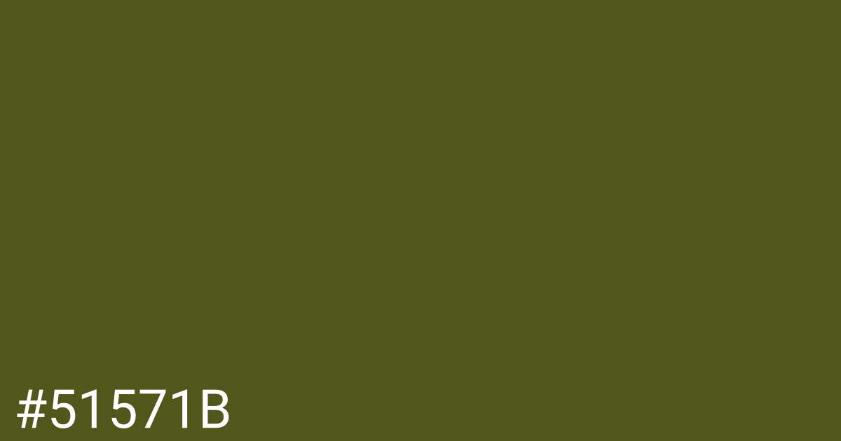 Hex color #51571b graphic