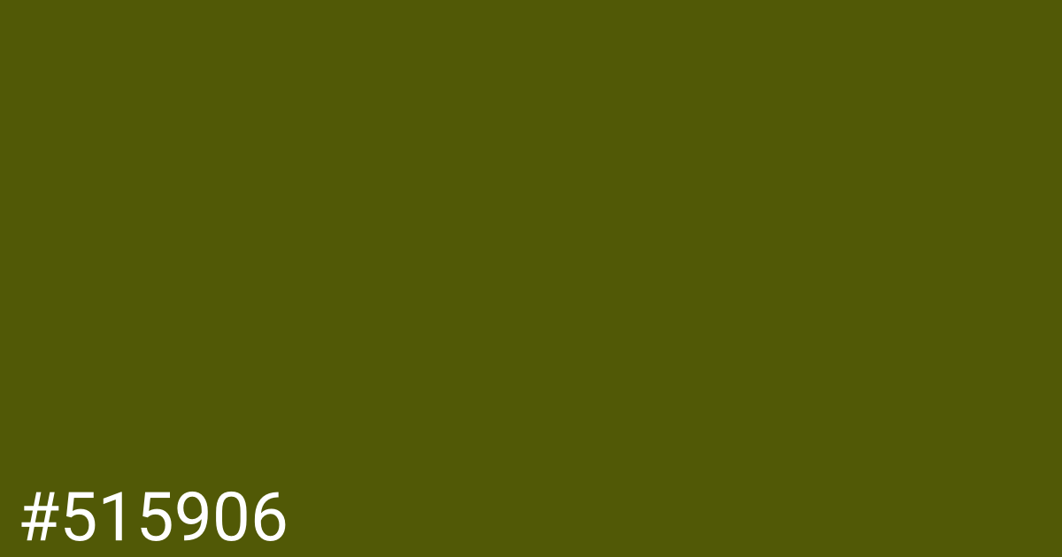 Hex color #515906 graphic