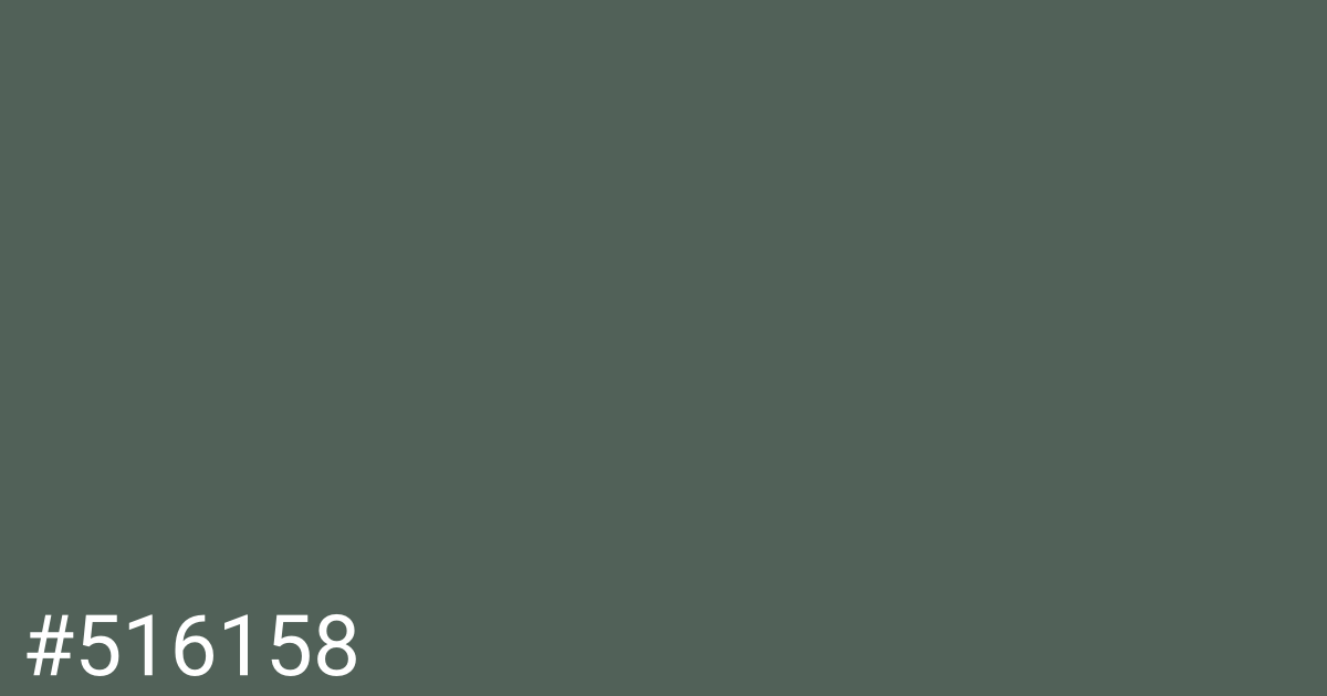 Hex color #516158 graphic