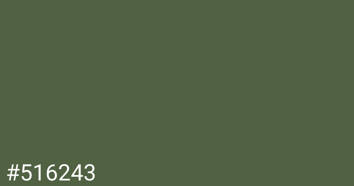 Hex color #516243 graphic