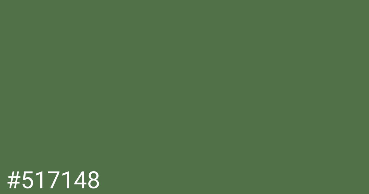 Hex color #517148 graphic