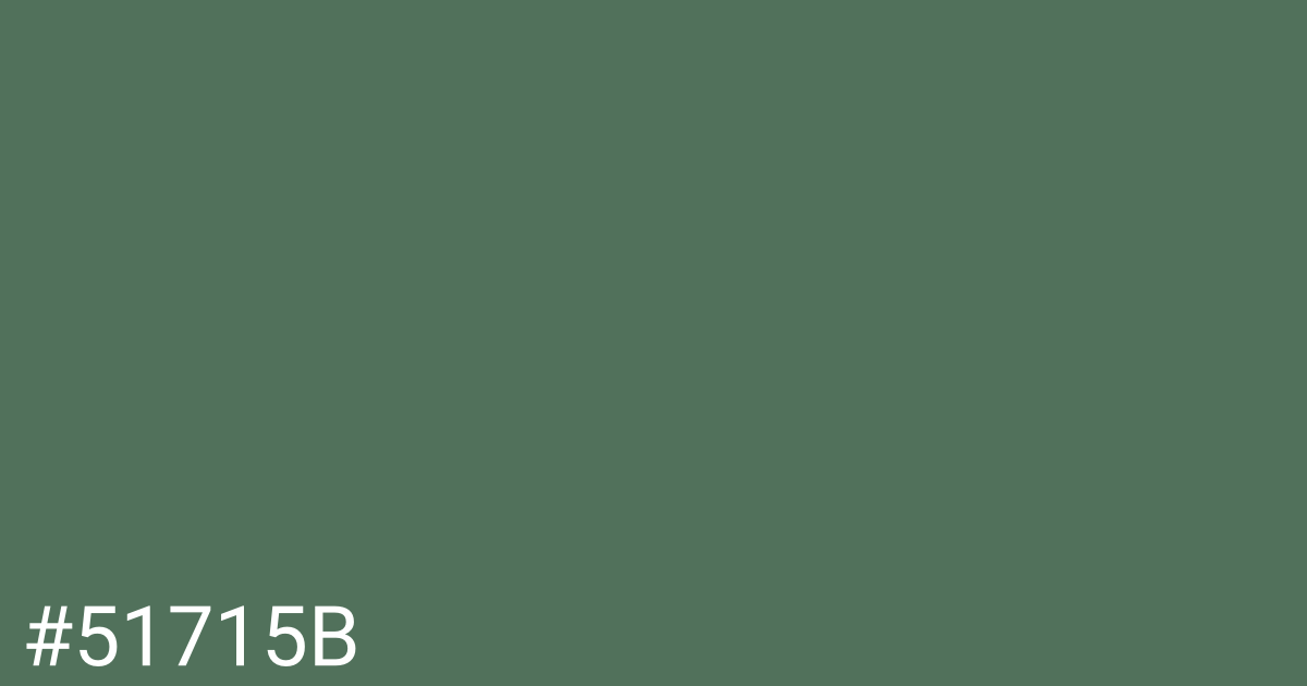 Hex color #51715b graphic