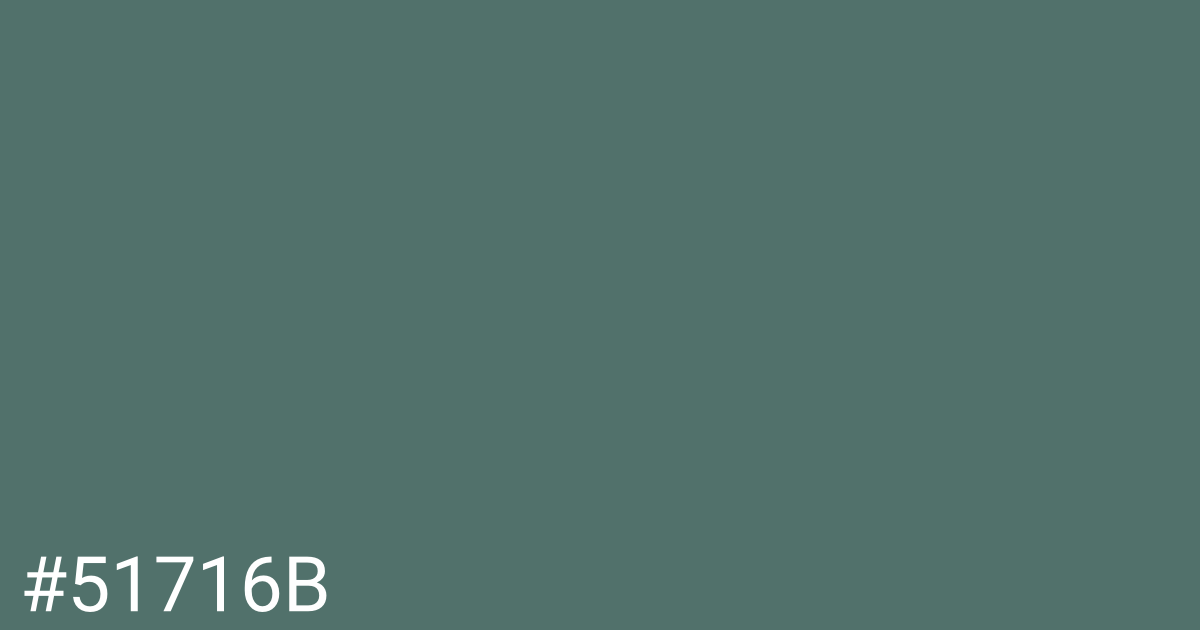 Hex color #51716b graphic