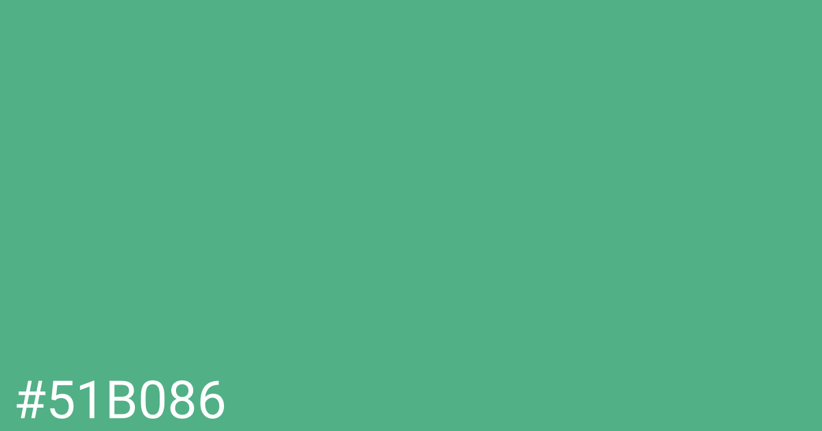 Hex color #51b086 graphic