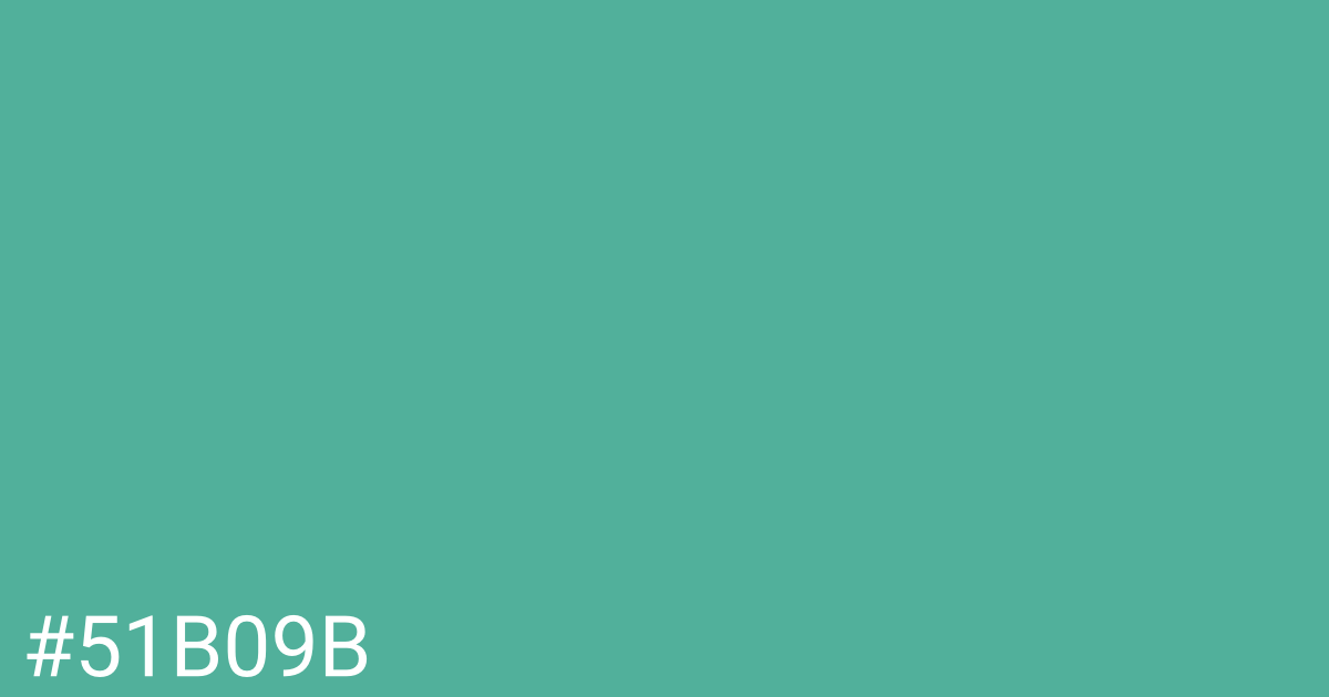 Hex color #51b09b graphic