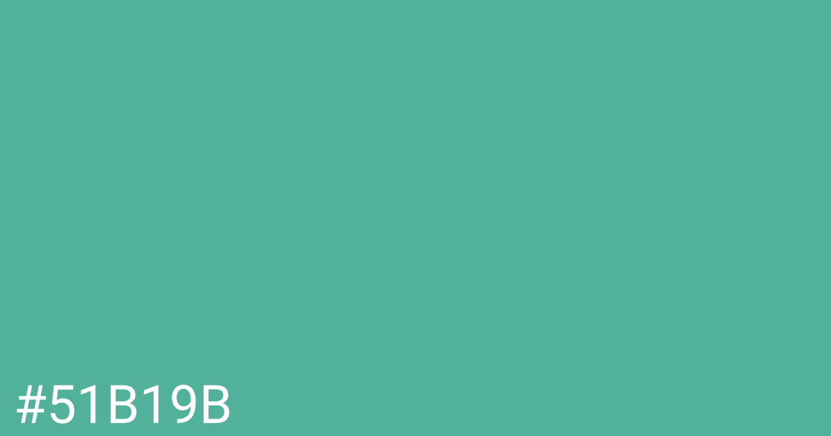 Hex color #51b19b graphic