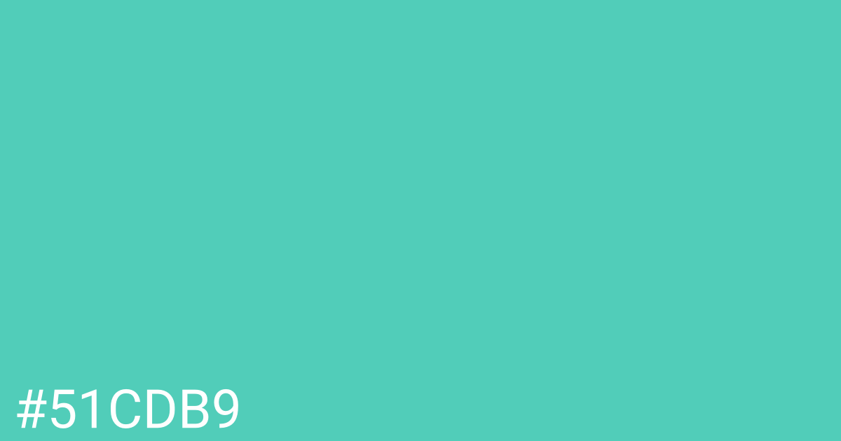 Hex color #51cdb9 graphic