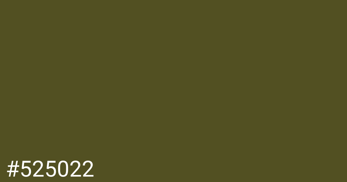 Hex color #525022 graphic