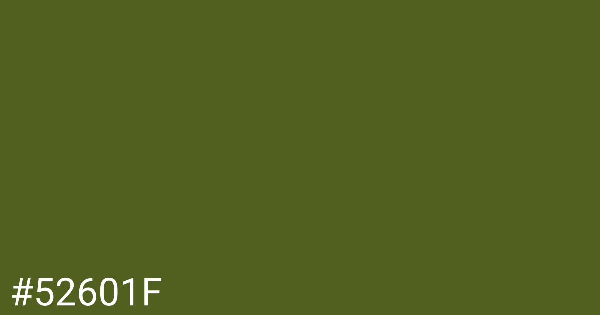 Hex color #52601f graphic