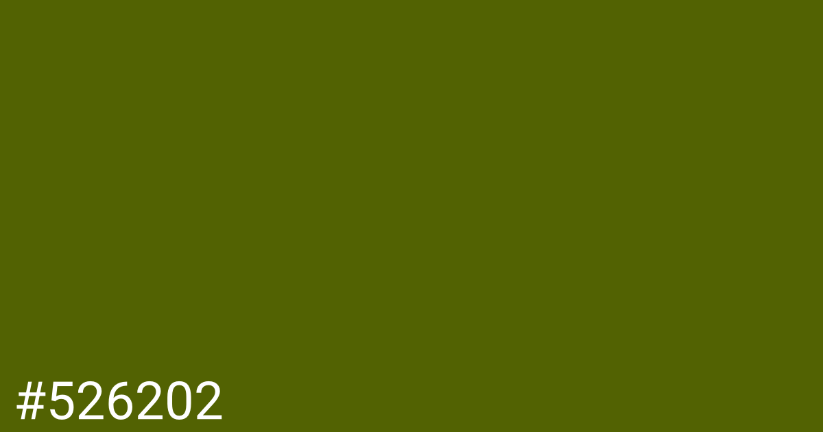 Hex color #526202 graphic