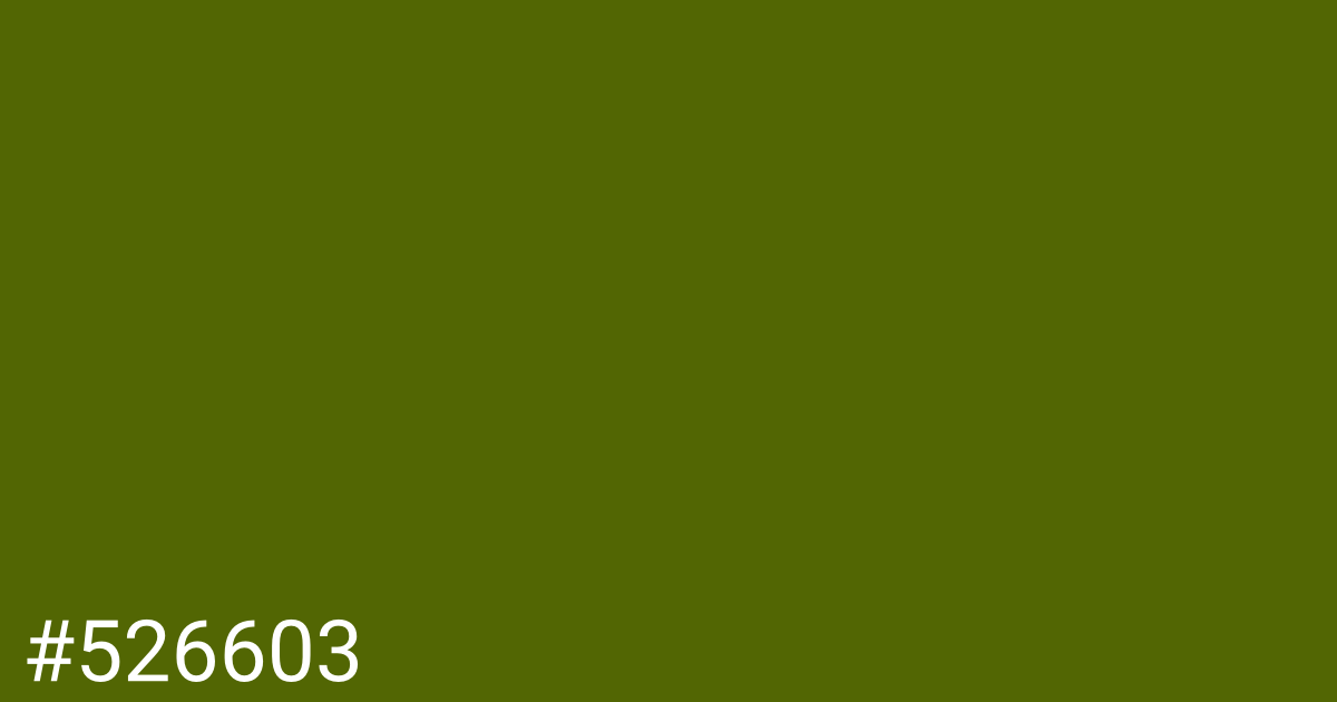 Hex color #526603 graphic