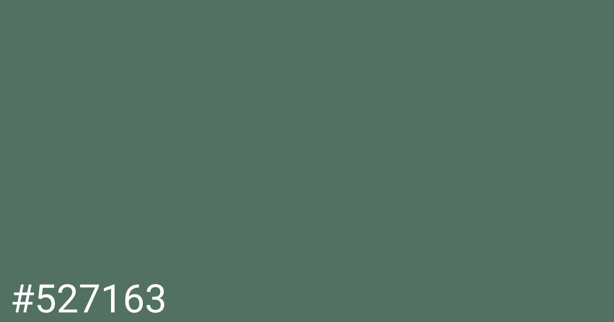 Hex color #527163 graphic