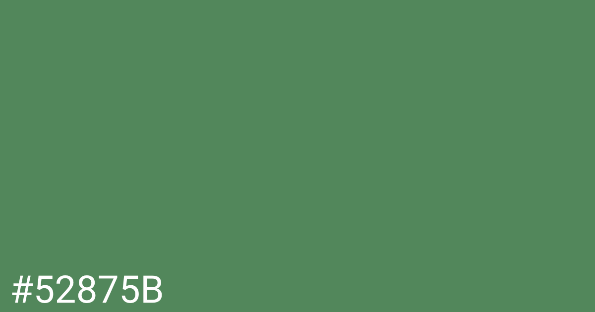 Hex color #52875b graphic