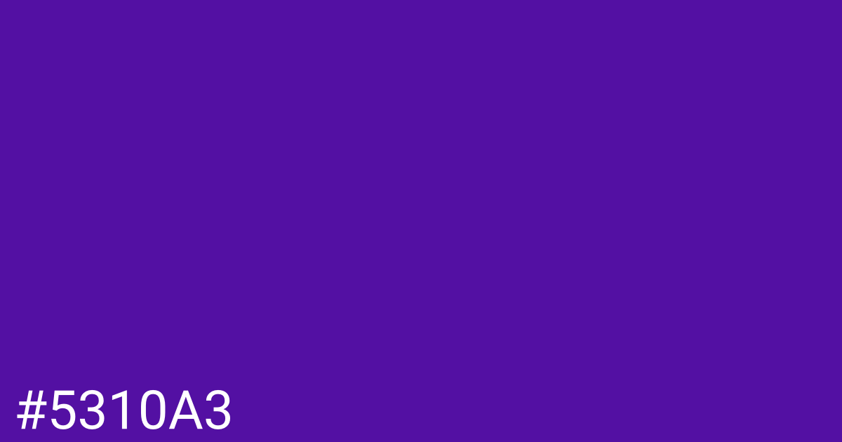 Hex color #5310a3 graphic