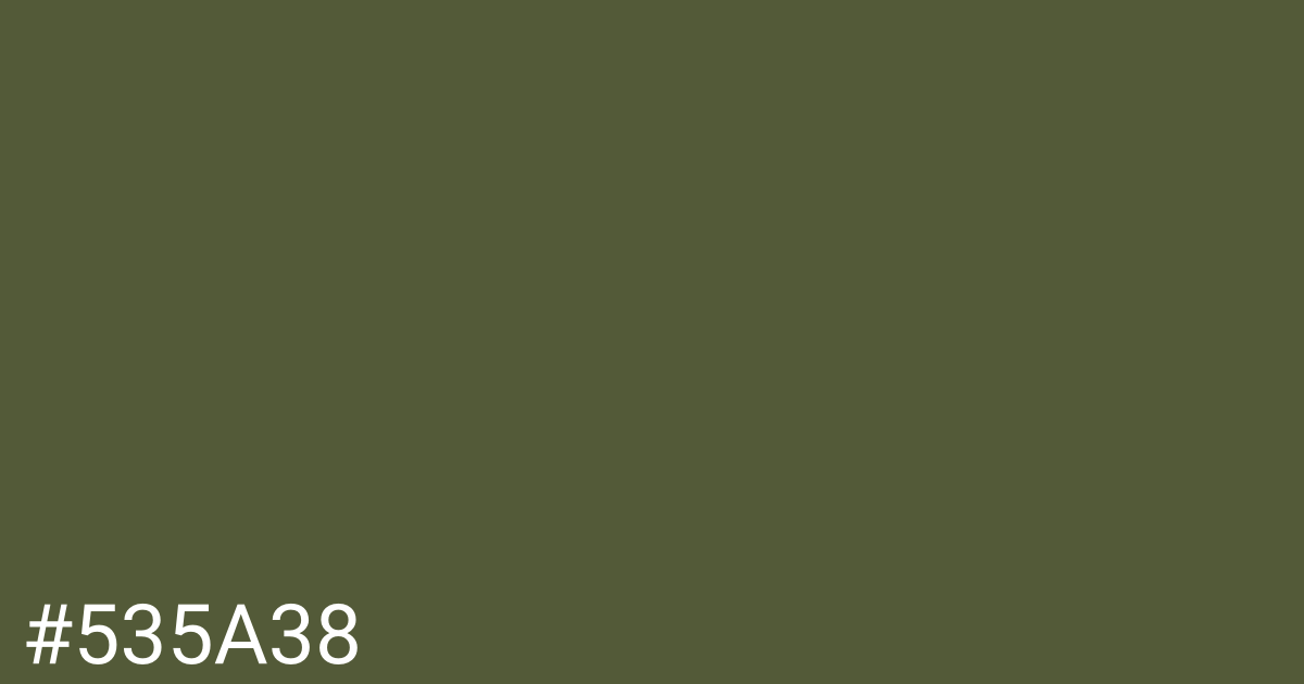 Hex color #535a38 graphic