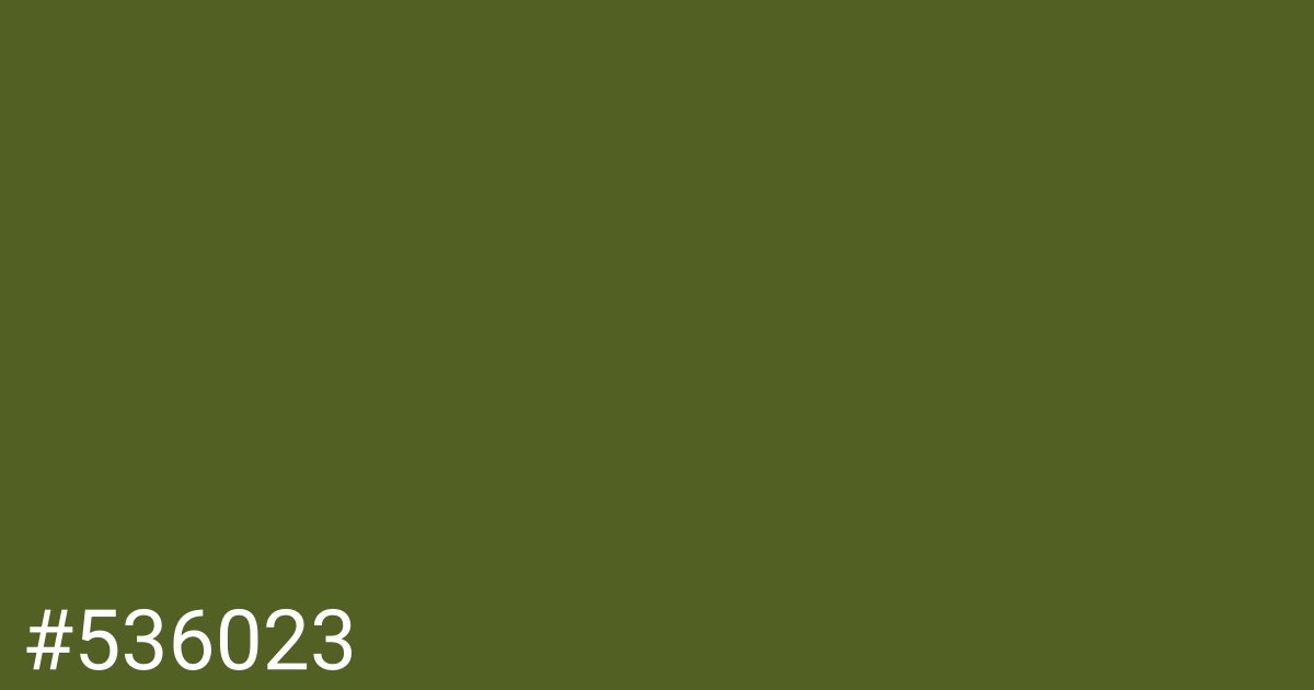 Hex color #536023 graphic