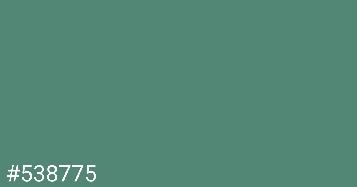 Hex color #538775 graphic