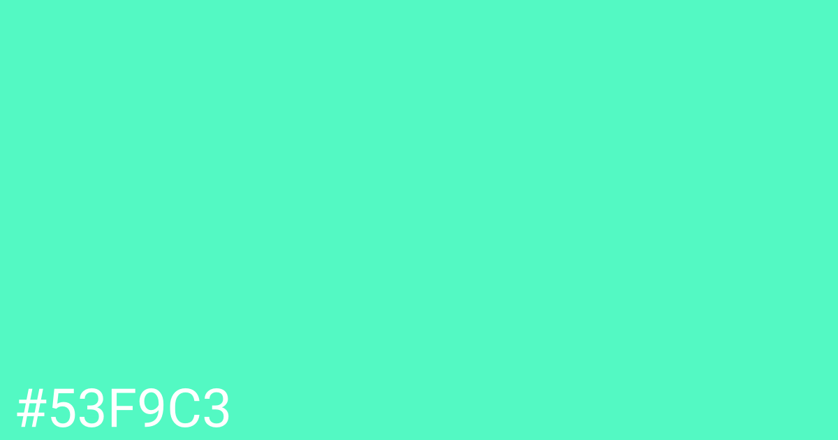 Hex color #53f9c3 graphic