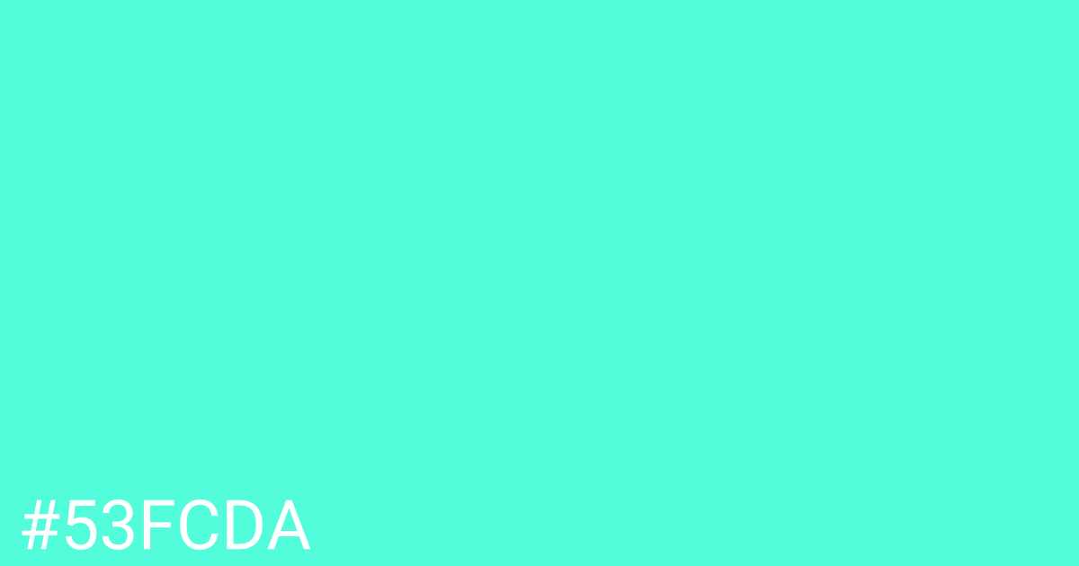 Hex color #53fcda graphic