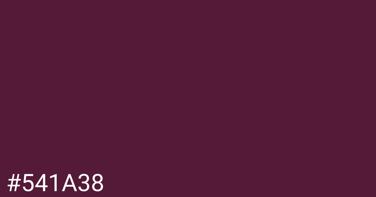 Hex color #541a38 graphic