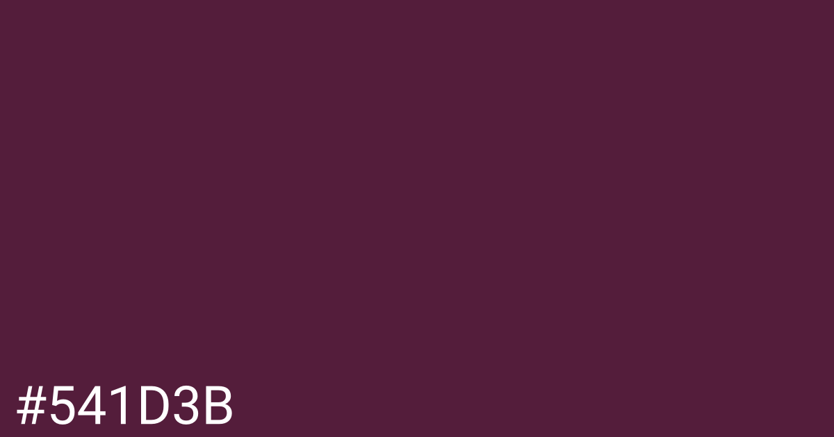 Hex color #541d3b graphic