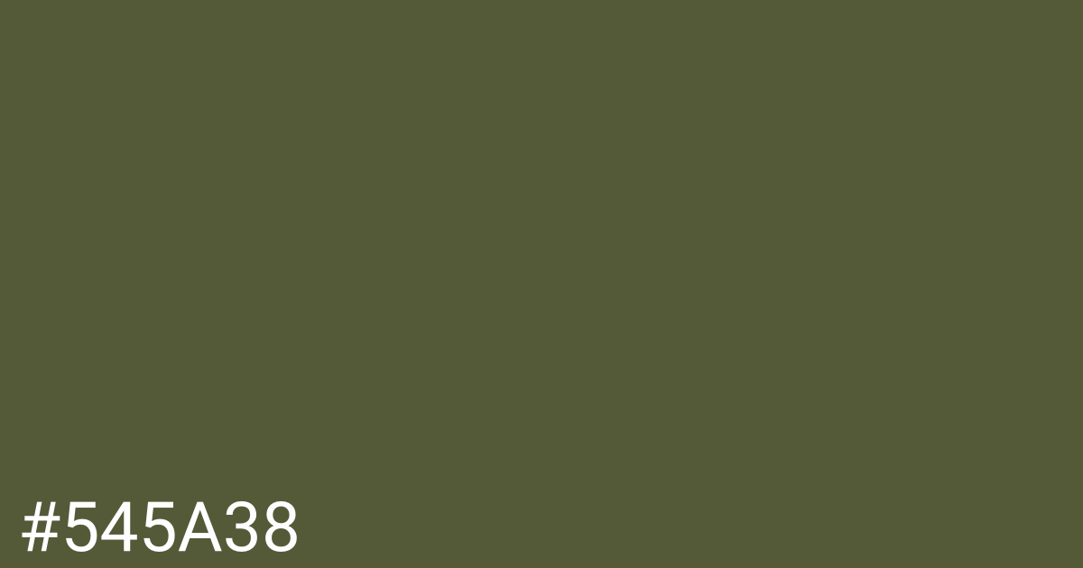 Hex color #545a38 graphic