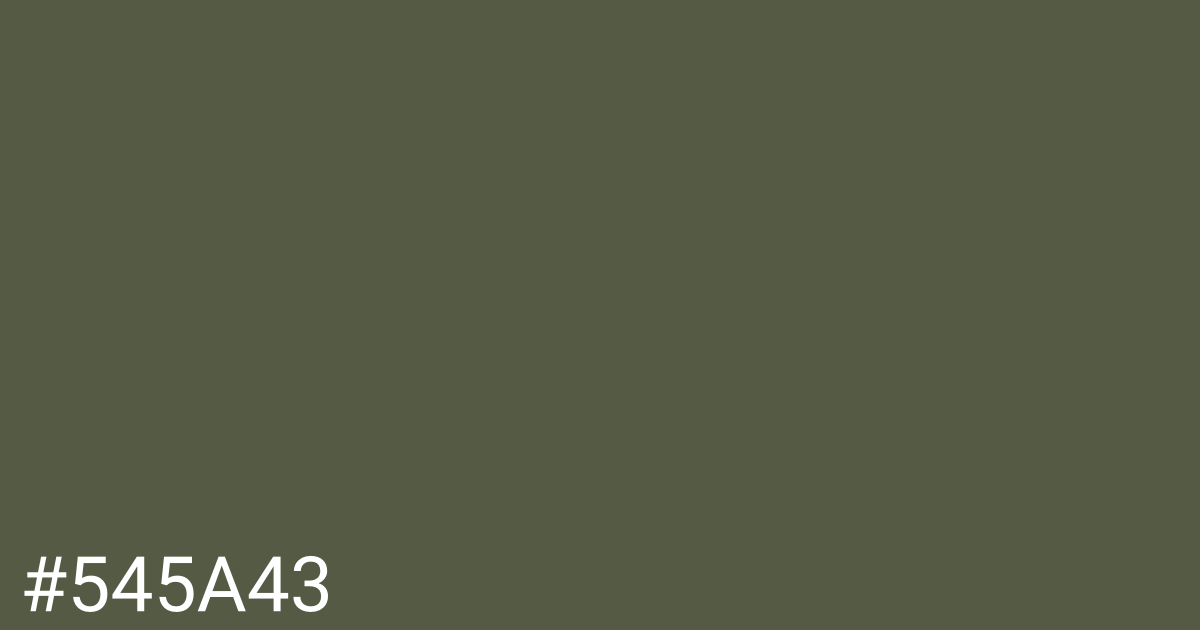 Hex color #545a43 graphic