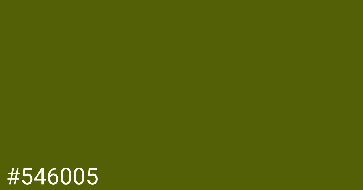 Hex color #546005 graphic