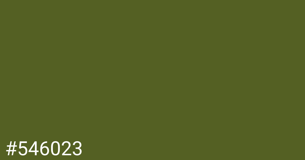 Hex color #546023 graphic