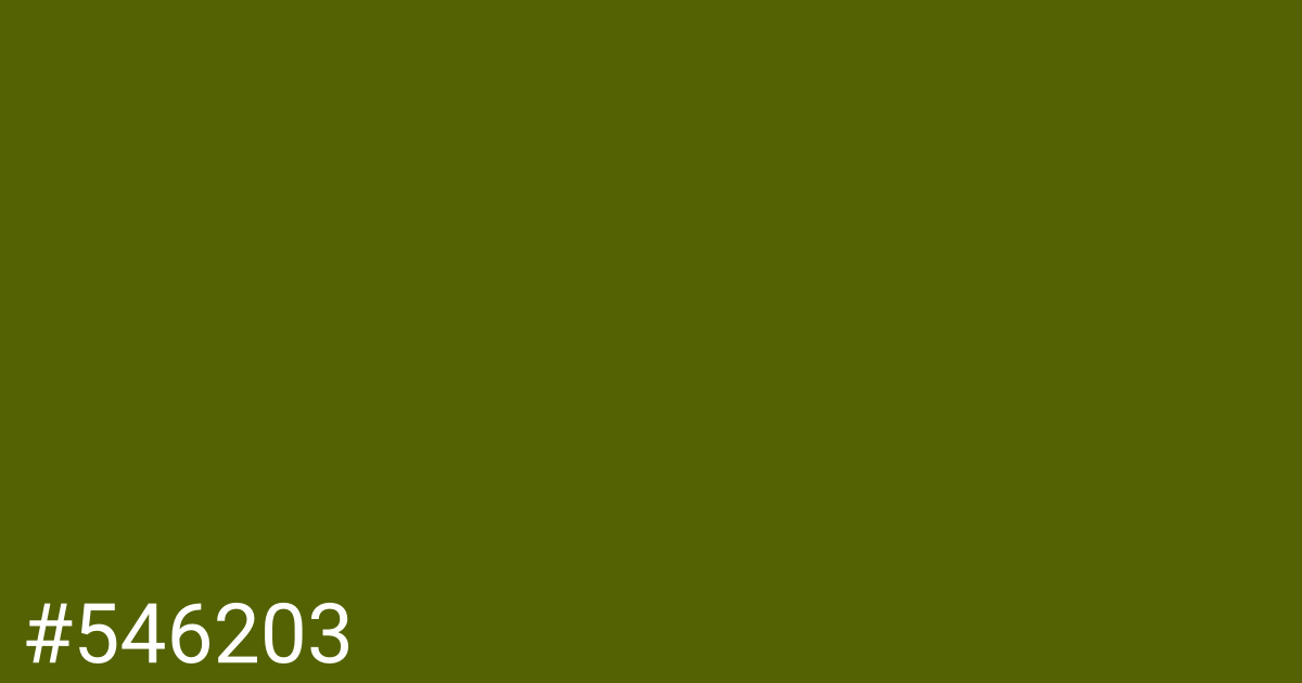 Hex color #546203 graphic