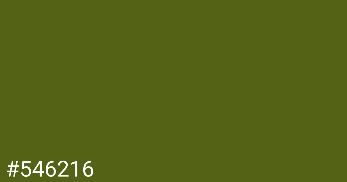 Hex color #546216 graphic