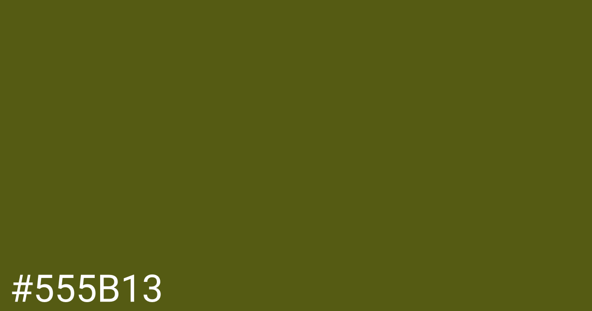 Hex color #555b13 graphic