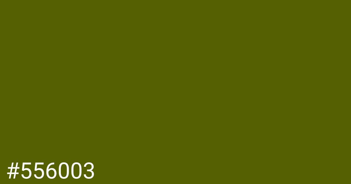 Hex color #556003 graphic