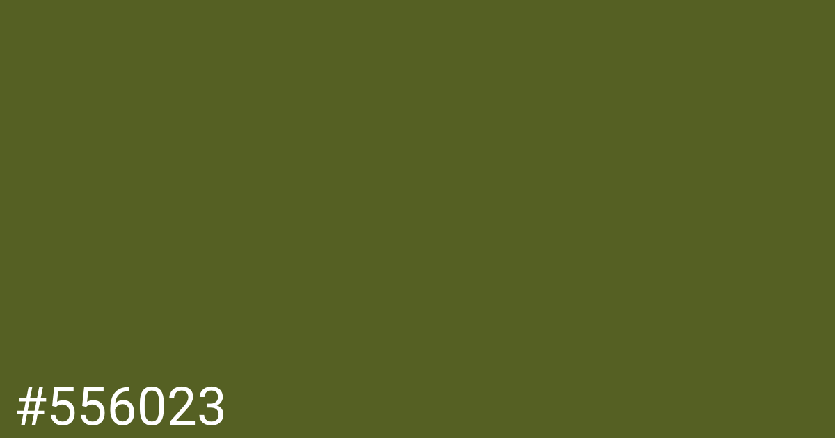 Hex color #556023 graphic