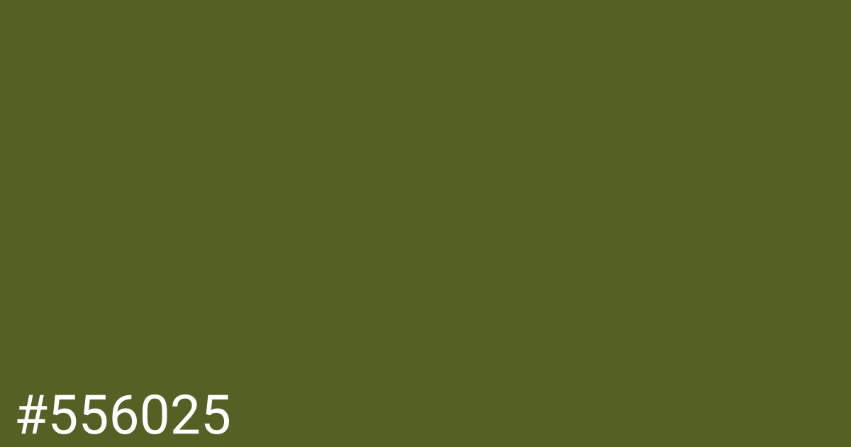 Hex color #556025 graphic